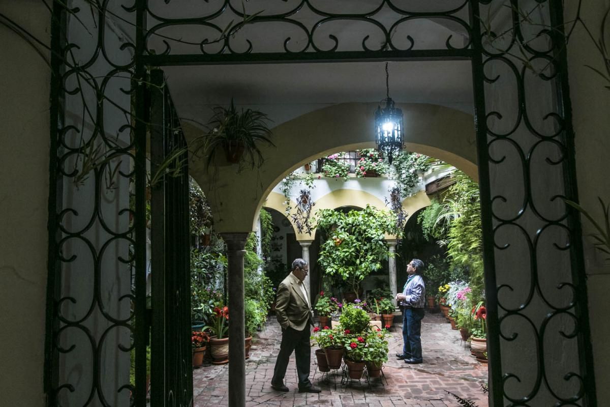 Fotogalería / Descubriendo los patios de la ruta del Realejo y San Andrés