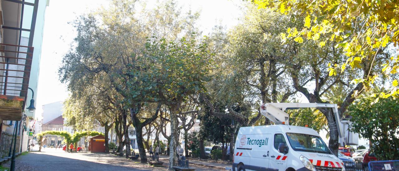 Alameda del Paseo da Calzada (Cambados)