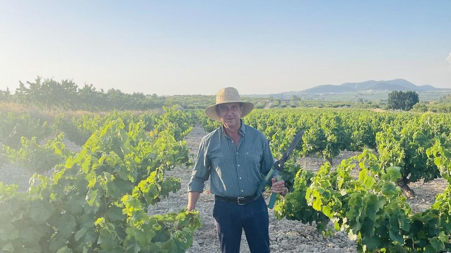 Pedro Sánchez Pujante, nombrado Maestro del Vino de Bullas 2025