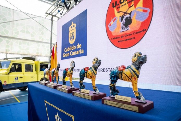 Celebración del Día Internacional del Bombero Forestal