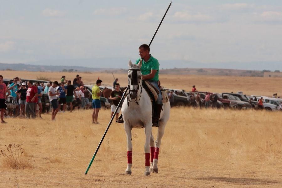 Fiestas en Zamora: Espantos en Carbajales