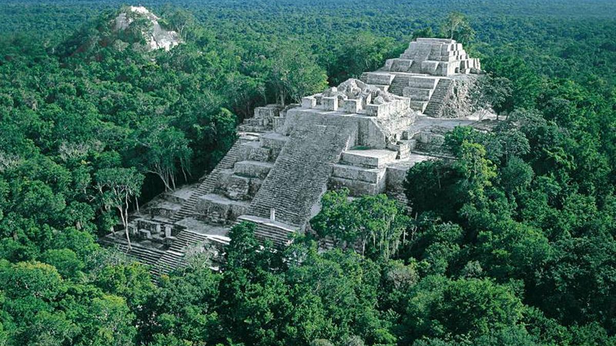 La reserva de la biosfera Calakmul, en México, donde se realizarán las primeras pruebas del proyecto