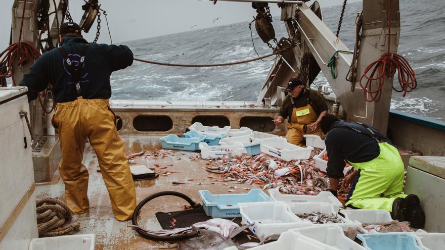 Warum die Fischer auf Mallorca für 2023 vor höheren Preisen warnen
