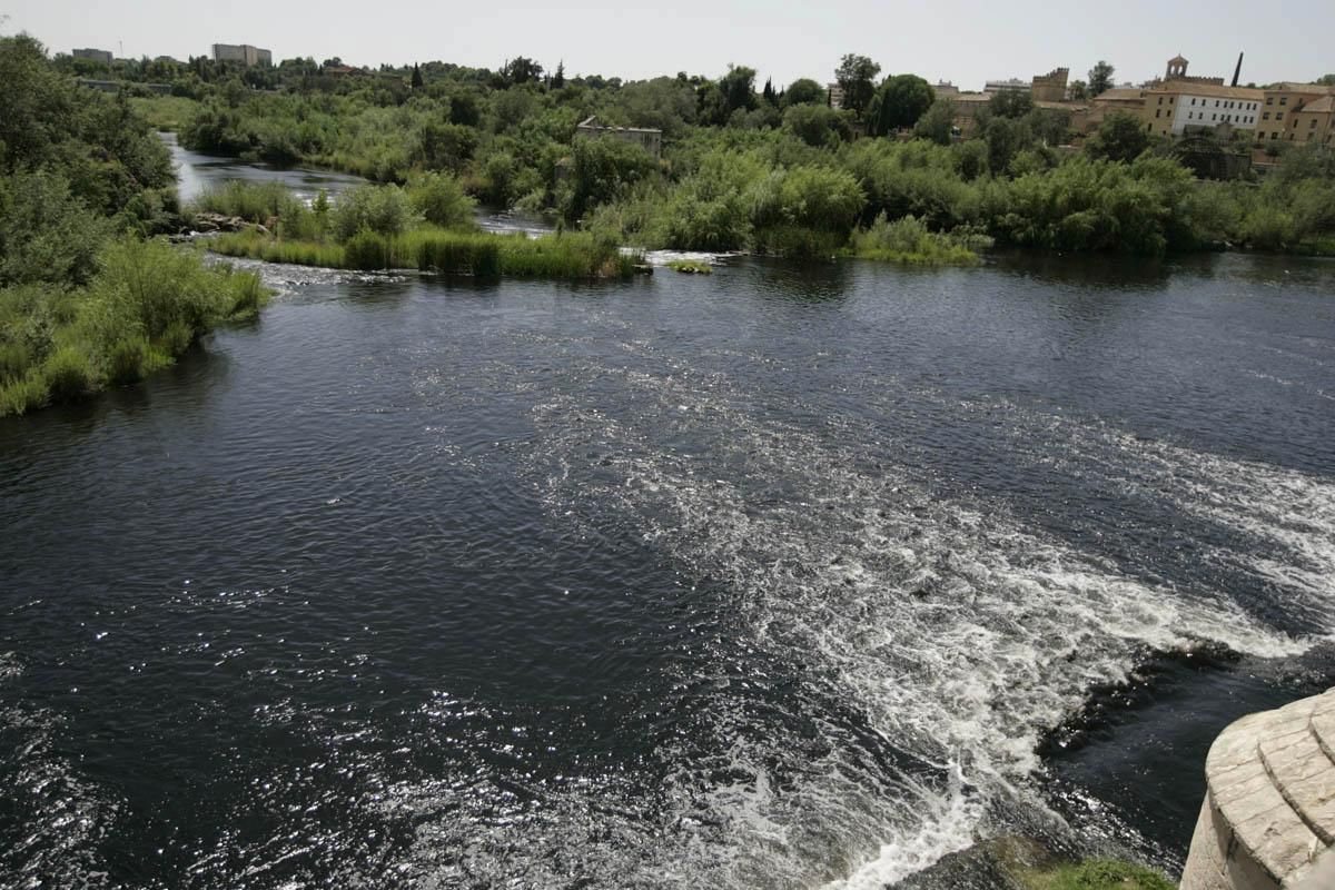 Fotogalería / Vertido de orujo en el Guadalquivir