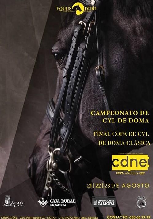 Cartel del campeonato de Doma Clásica de Castilla y León en Equus Duri.