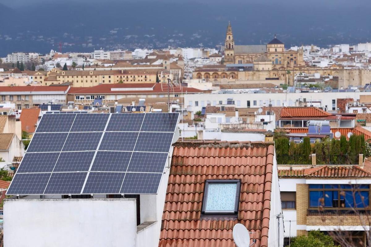 Imagen de placas fotovoltaicas instaladas en tejados de edificios de Córdoba.