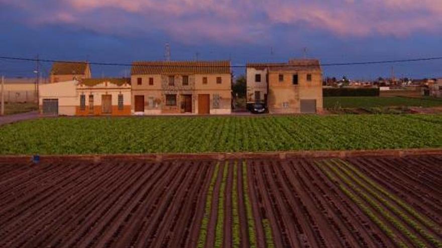 Castellar tendrá el primer mercadillo de frutas y verduras de la ciudad