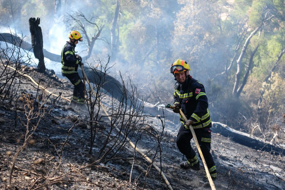 El fuego se inició a última hora de ayer miércoles y ha estado activo toda la noche.