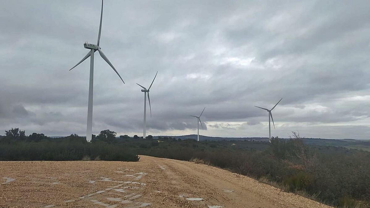 Aerogeneradores del parque eólico “Valdelanave”, en Cerezal de Aliste. | Chany Sebastián