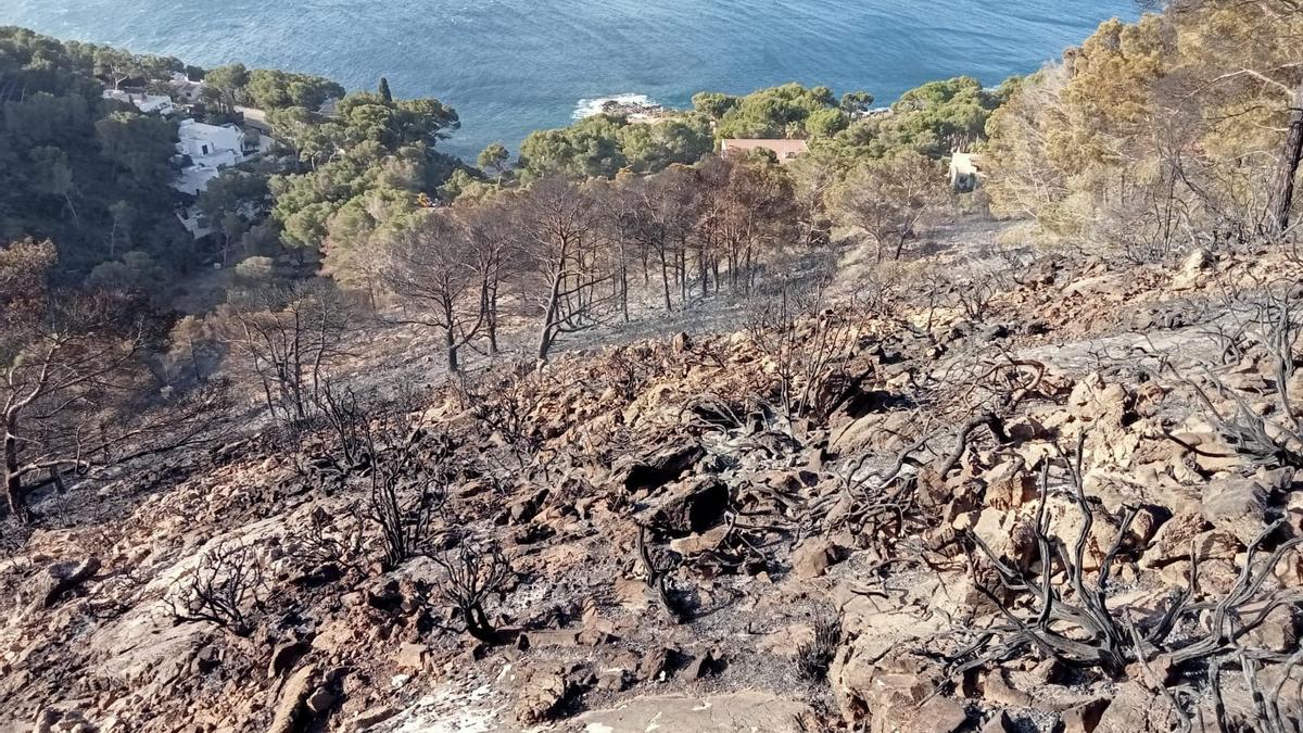 Die verbrannte Gegend in Costa dels Pins.