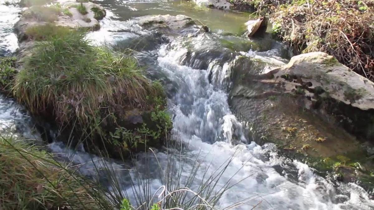 El Río Quípar a su paso por el termino municipal de Caravaca