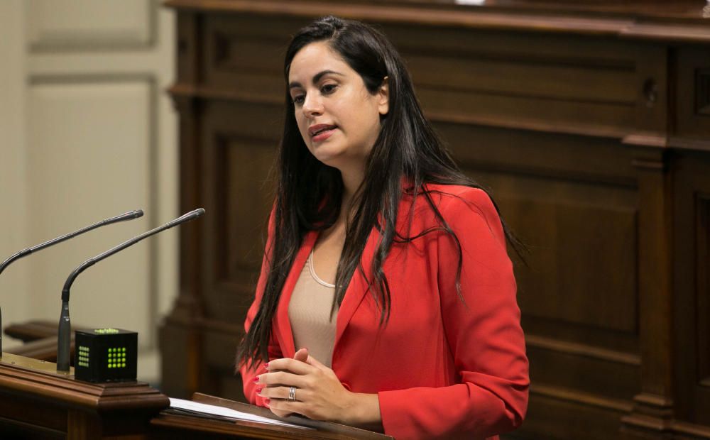 Pleno en el Parlamento de Canarias