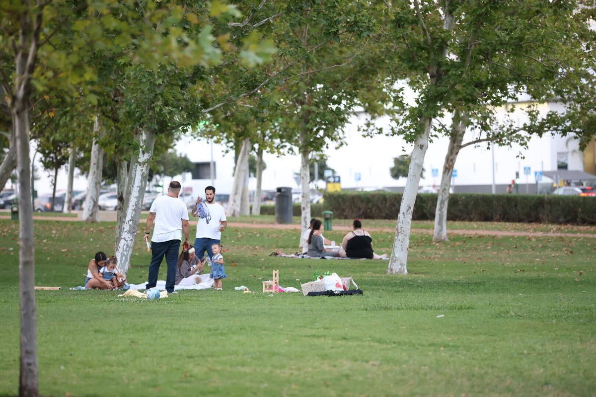 Tardes al fresco en Córdoba, el plan estrella del verano para disfrutar en familia