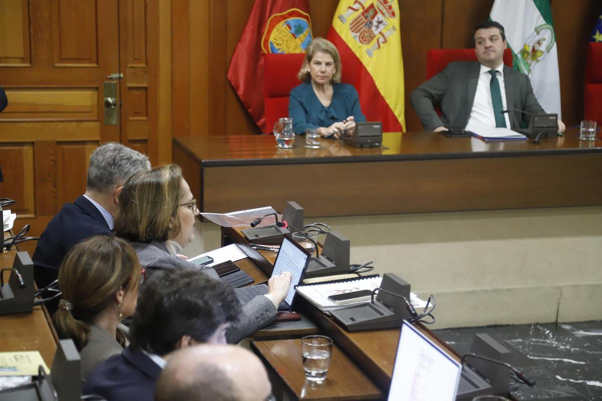 El alcalde de Córdoba, José María Bellido, preside un pleno en el que interviene la teniente de alcalde de Hacienda, Blanca Torrent.