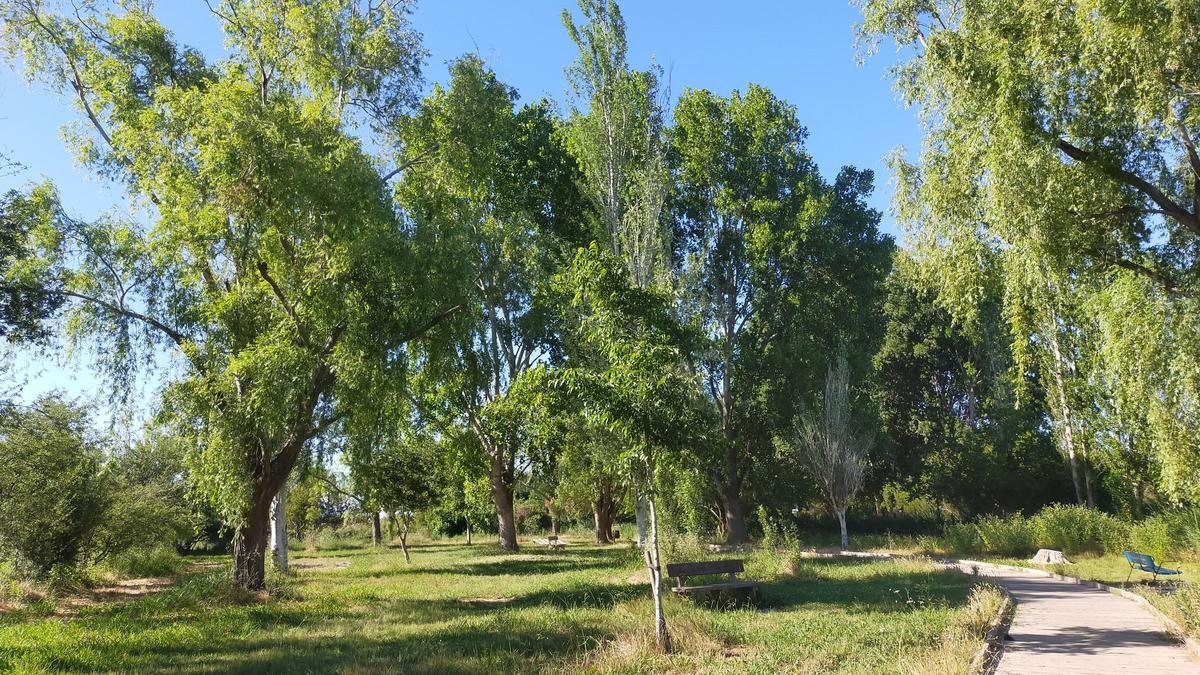 Zona de la marjal de Gandia