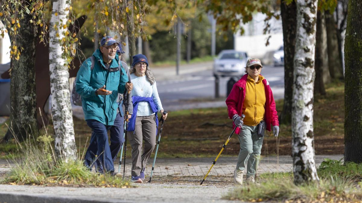 Peregrinos entrando en Santiago tras realizar el Camino Francés.