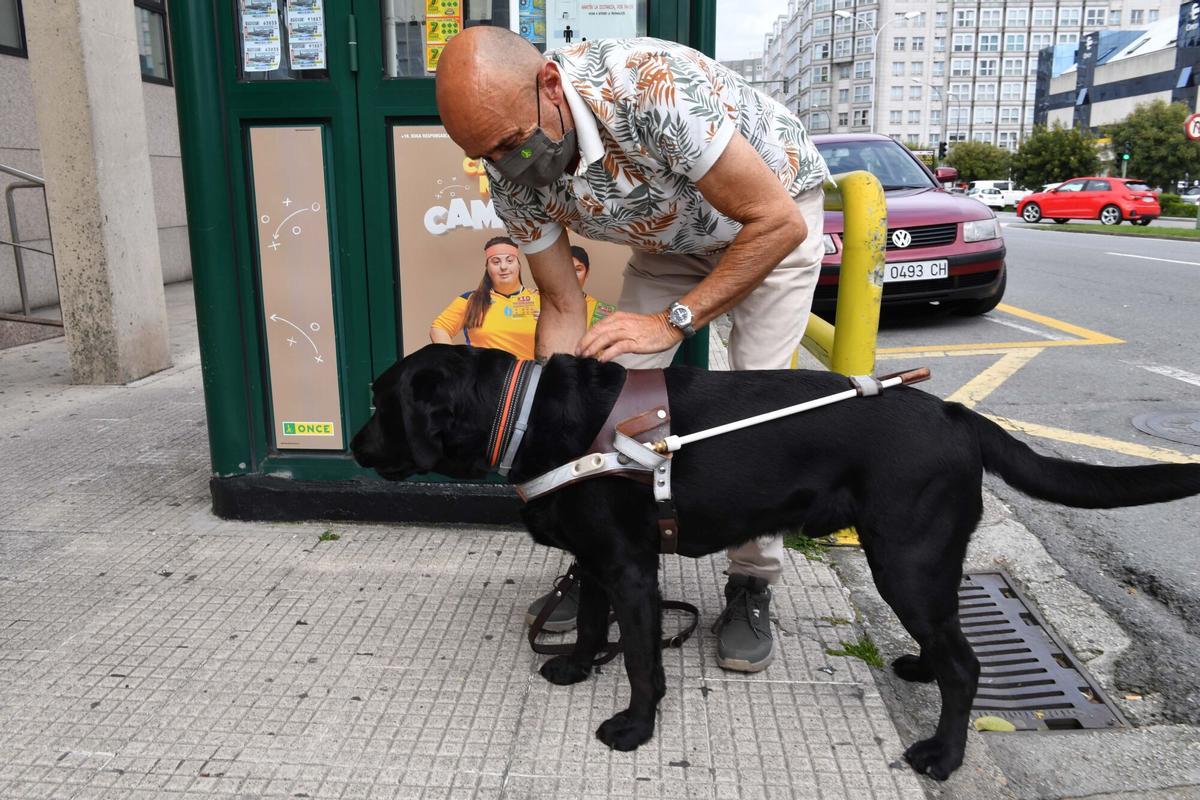 El perro guía de uno de los loteros de la ONCE, en A Coruña.