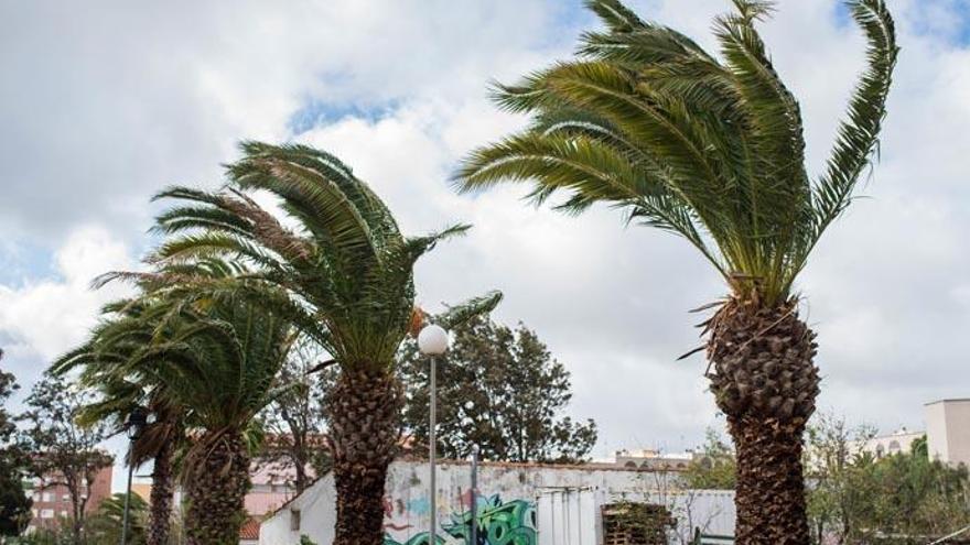 Viento en Tenerife.