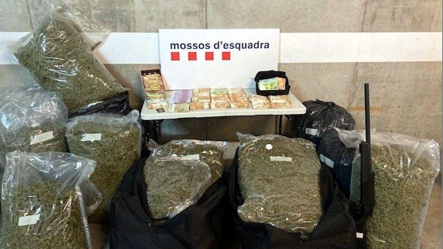 Part dels 100 quilos de marihuana decomissada