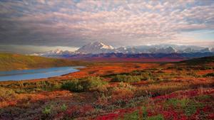 Parque Nacional Denali, en Alaska.