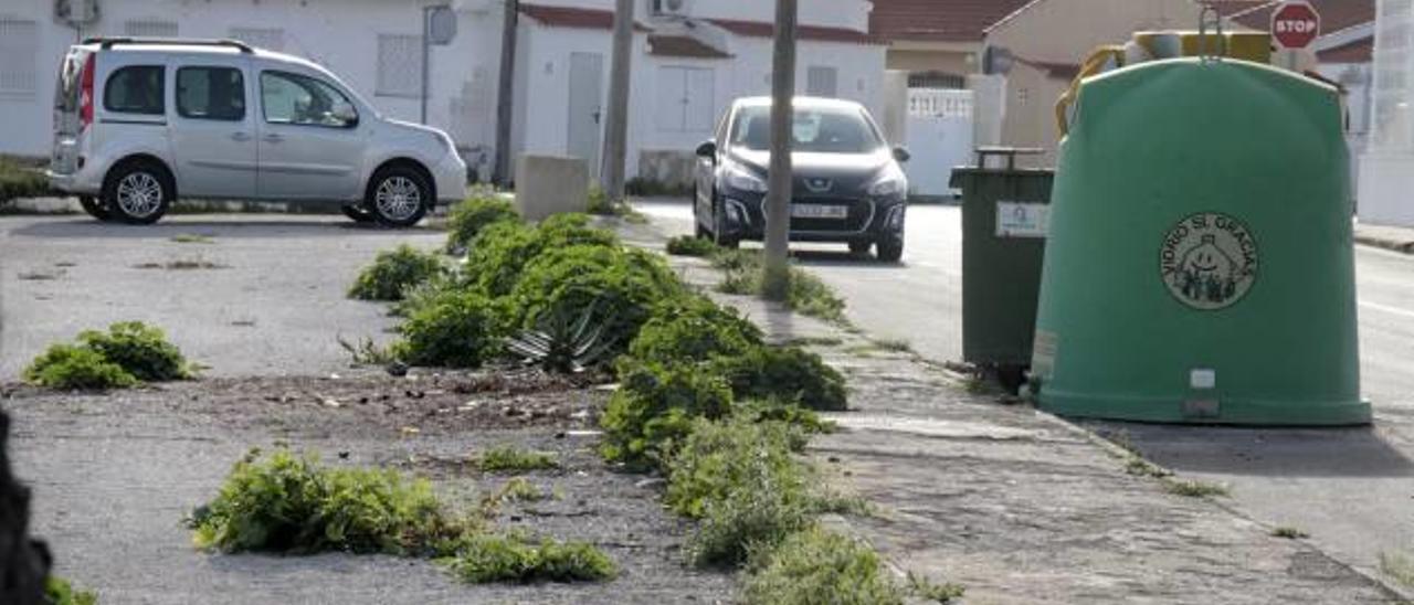 Imagen del depósito municipal de vehículos en Torrevieja.