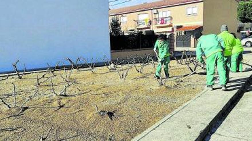 Los alumnos aprenden el manejo de las herramientas de jardinería. | E. G.