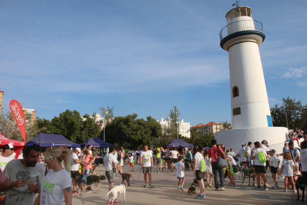 El Parque Huelin ha acogido la primera edición de un evento destinado a las mascotas y a sus dueños, con carreras en diversas categorías, actividades gratuitas y numerosos stands