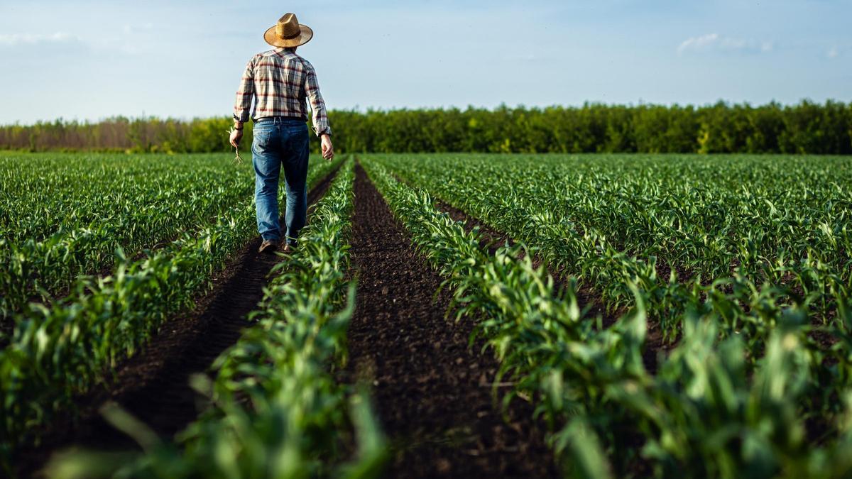 Imagen de archivo de un agricultor.