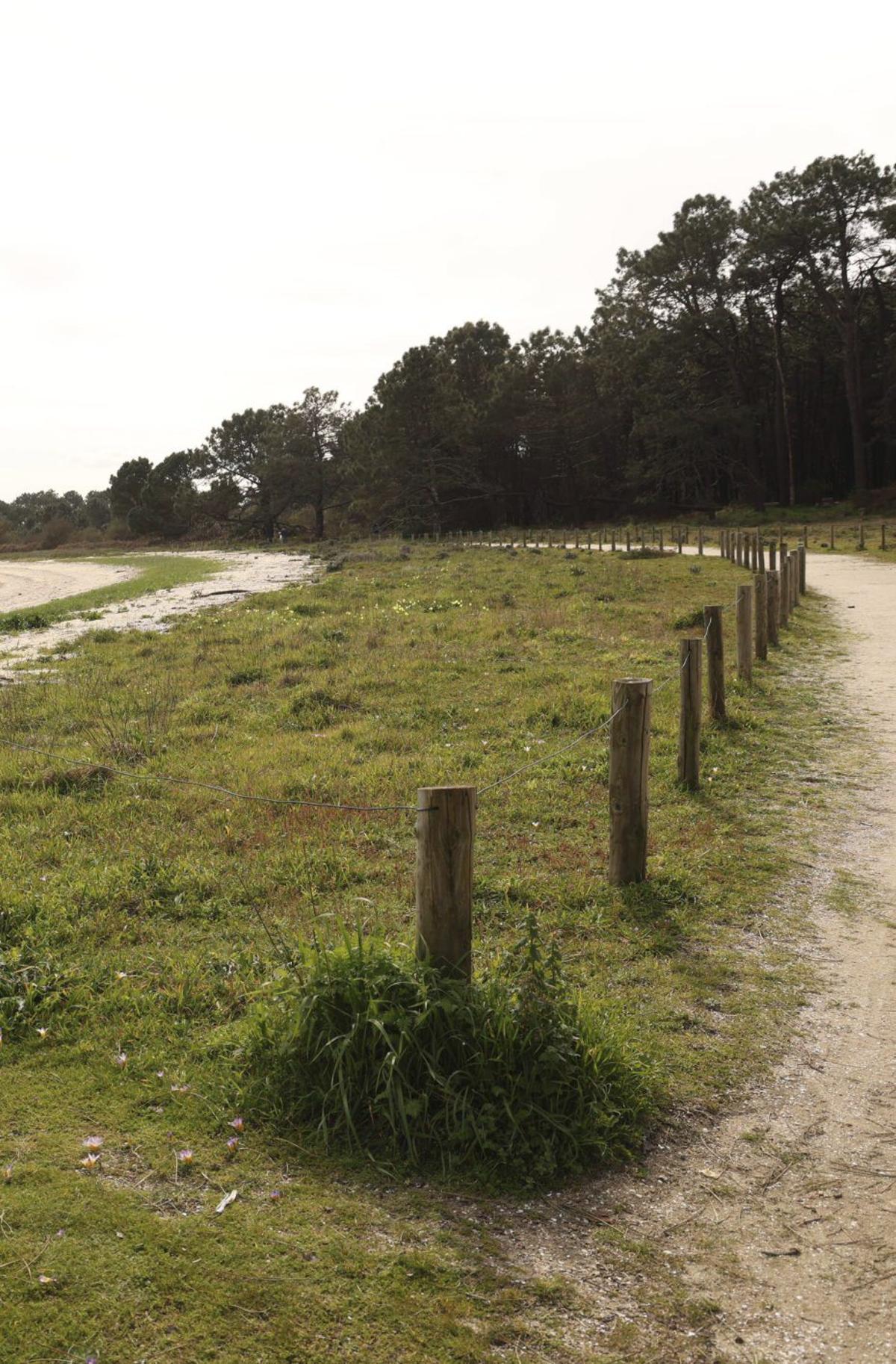 Uno de los vallados dunares de Carreirón.