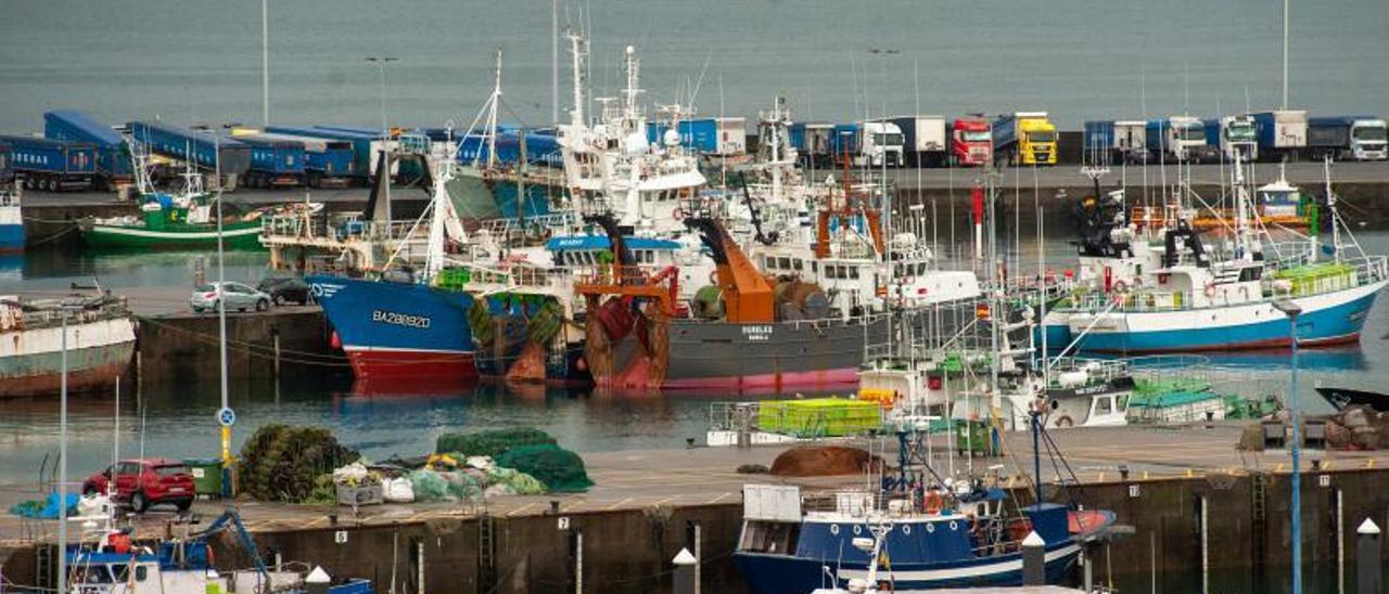 Barcos de la flota pesquera coruñesa, amenazados por la subida del gasóil, amarrados en los muelles de Oza.