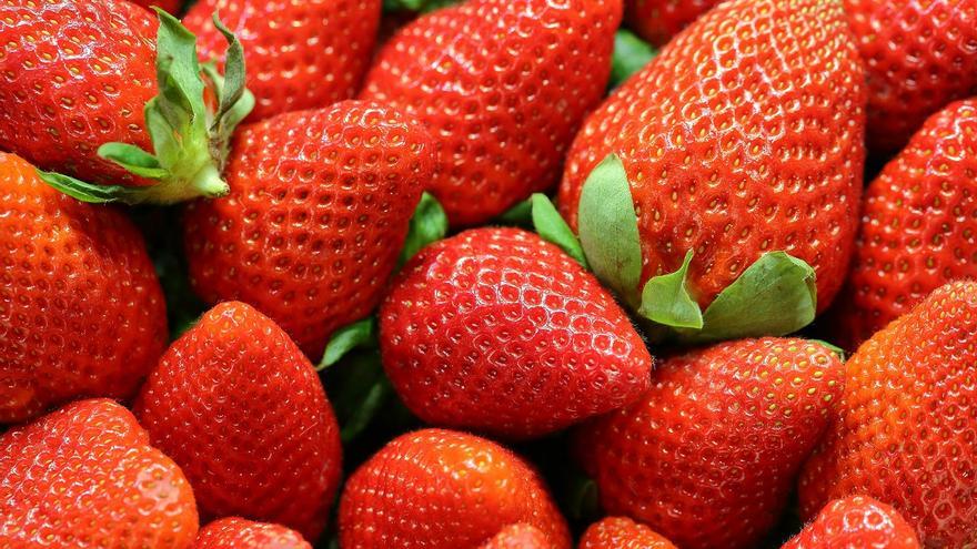 Fresas enfermas