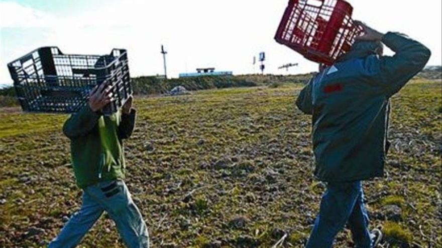 El sector agroalimentari del Baix Llobregat acusa l&#039;ACA d&#039;&quot;inacció&quot; davant de possibles inundacions