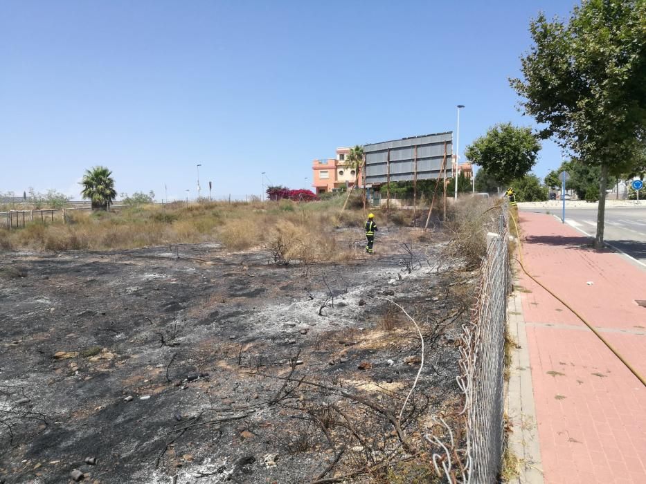 Los bomberos de Torrevieja y los bomberos forestales de Guardamar han extinguido hoy un incendio de matorral que ha arrasado cinco mil metros junto a cientos de viviendas y la variante de la N-332, fr