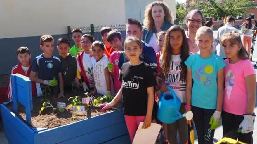 El colegio de Molins estrena huerto