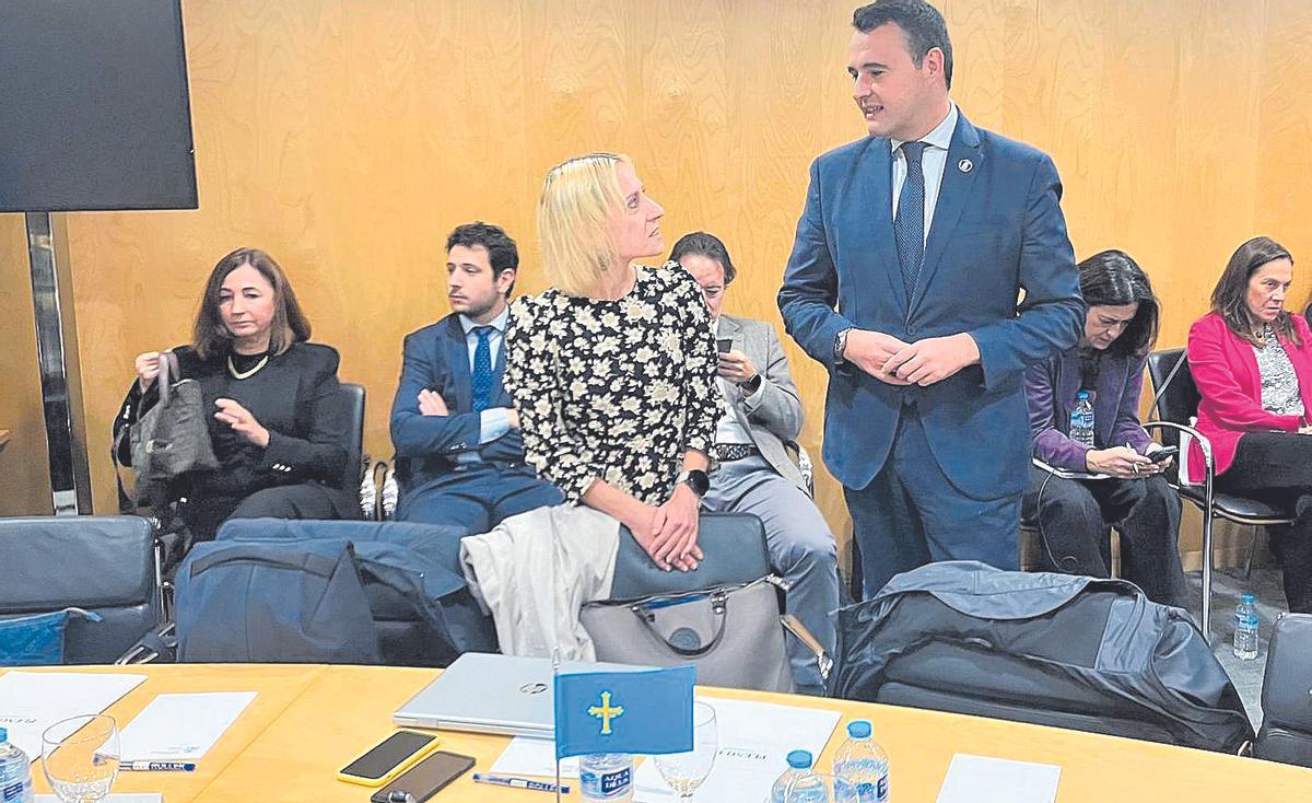 La directora general de Presupuestos y Finanzas, Mar García Salgado, y el consejero de Hacienda, Guillermo Peláez, en la reunión del Pleno del Consejo de Política Fiscal y Financiera.