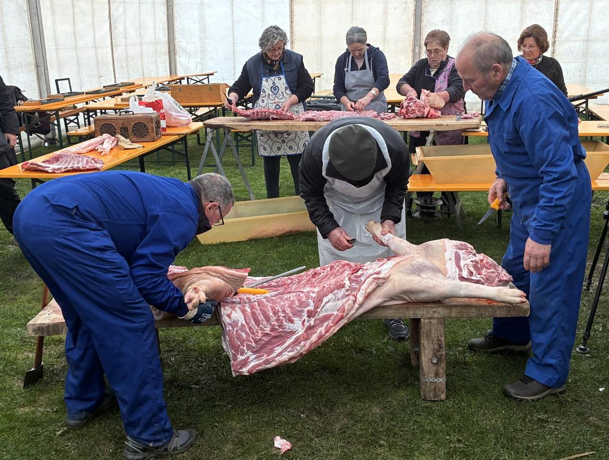 647102410_1355254429969070_2430242810204138990_n