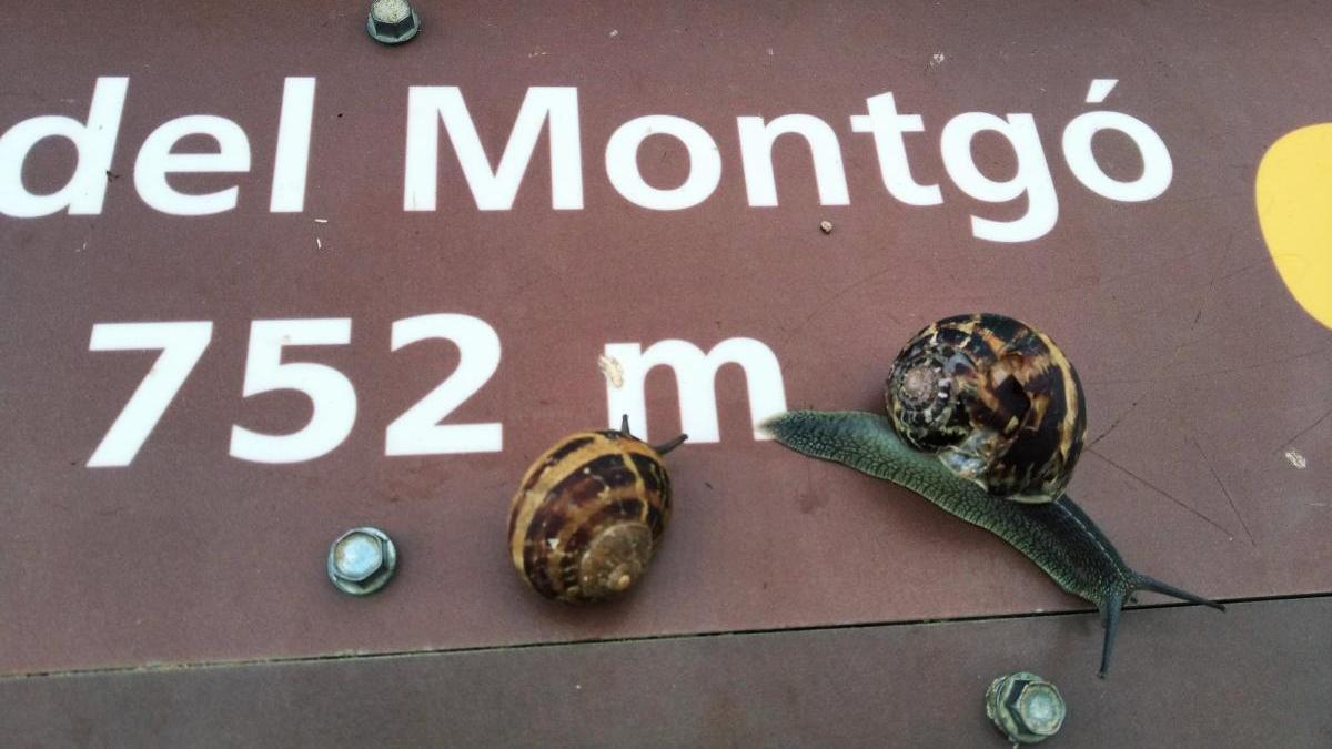 Cartel situado en la cima del Montgó, montaña que comparten Dénia y Xàbia