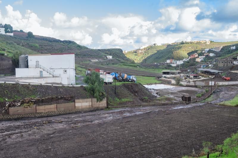 Rescatado de la granja de vacas a las tres de la mañana