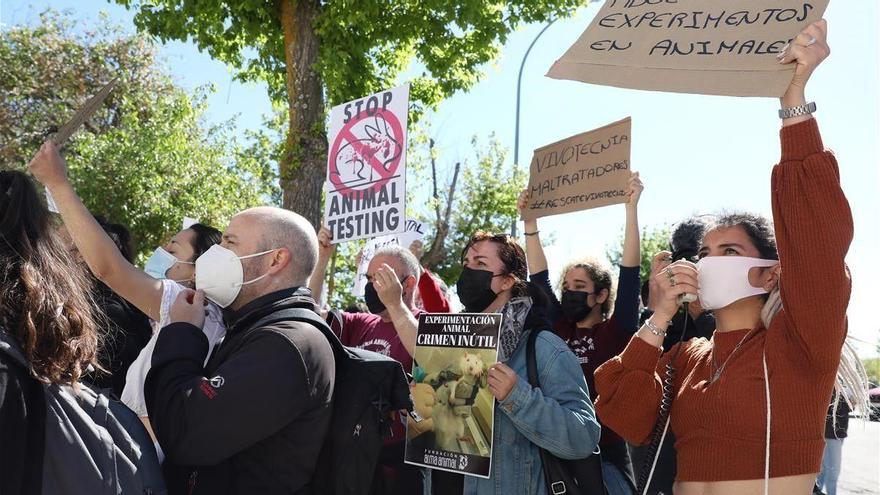 España investiga el presunto maltrato a animales en un laboratorio de experimentación