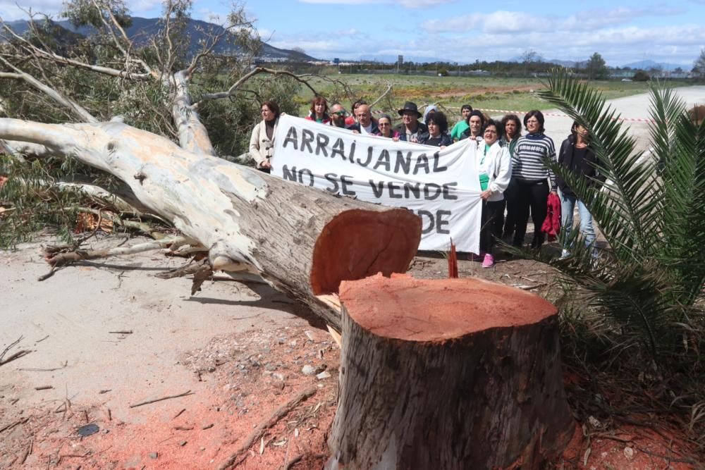 Protesta por la tala de árboles en Arraijanal