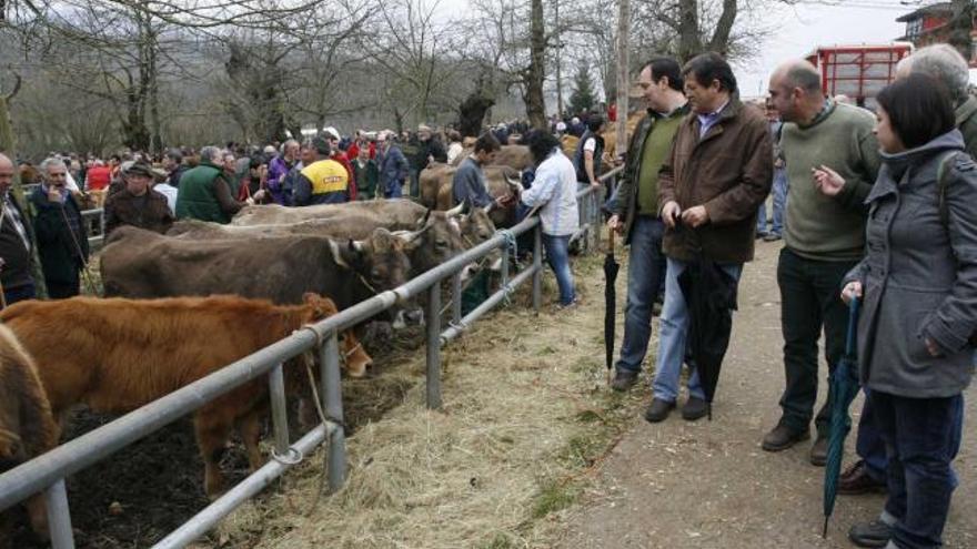 Javier Fernández, segundo por la izquierda, visitando la feria ganadera de Corao.