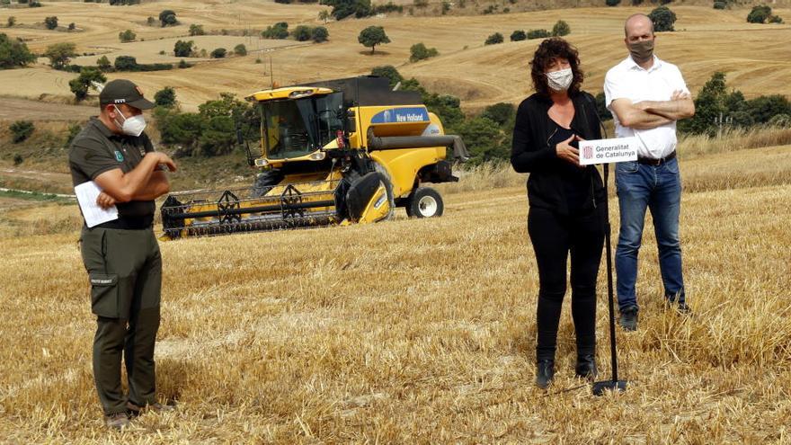 La consellera dAgricultura, Teresa Jordà, durant la presentació de la campanya de prevenció d&#039;incendis durant la sega 2020, el 12 de juliol de 2020