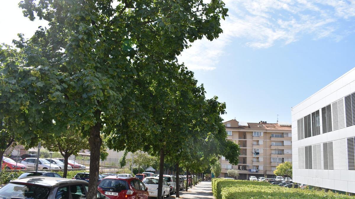Els aurons blancs del carrer de Ramon Iglésias están inclosos en el paquet de treballs