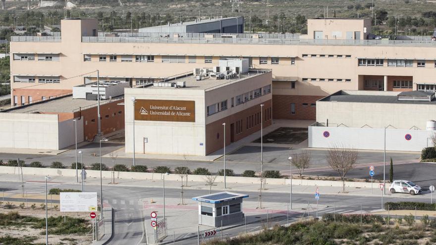 Cuatro nuevas empresas surgidas de la UA se vinculan al Parque Científico de Alicante