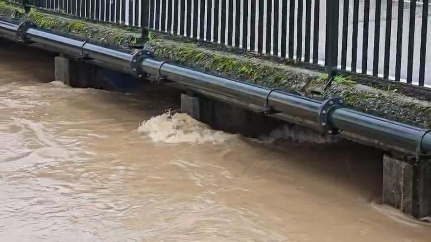 Vídeo | Crecida del río en la Dehesilla de Calamón