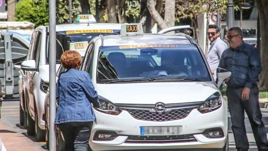 Imagen de una de las paradas de taxi ubicadas en el centro urbano de Orihuela.