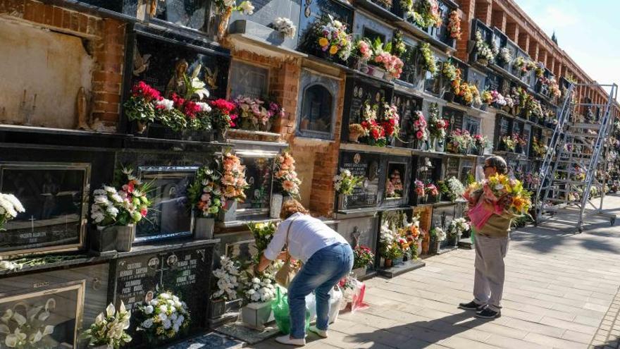 Preparativos para el 1 de noviembre en el cementerio viejo de Elda