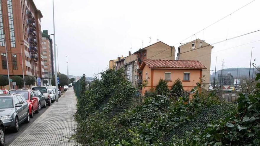 La valla vencida por el peso de las enredaderas, ayer, en la calle Suárez del Villar.