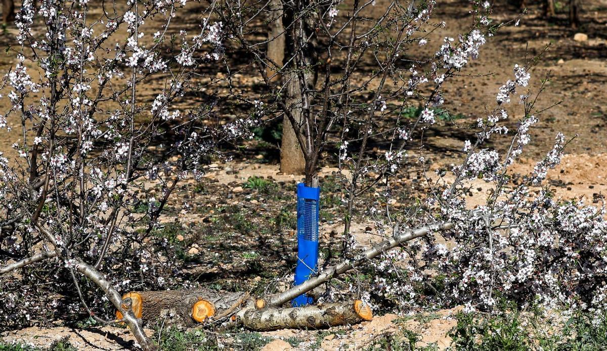 Protesta contra la planta de biometano de Llíria por el inicio de las obras