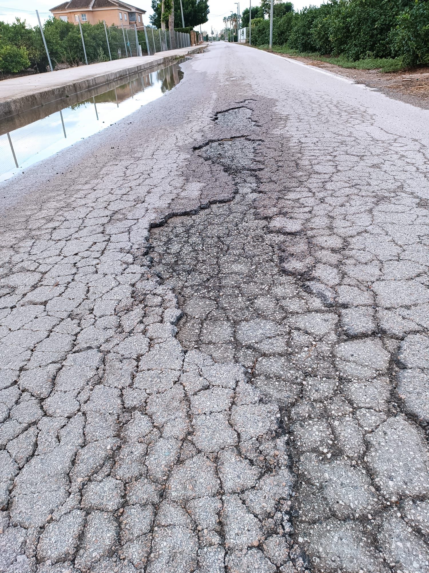 WhatsApp Image 2025-10-01 at 09.34.03.jpeg